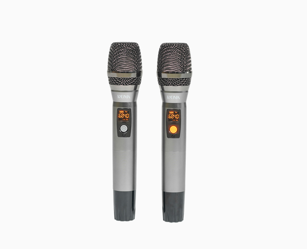 2 MICRO KHÔNG DÂY